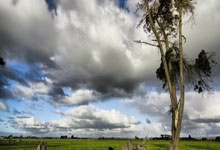 欧博官方网站:杨鸣:相比连胜更关心球队健康 稍有闪失一场球就可能决定命运.