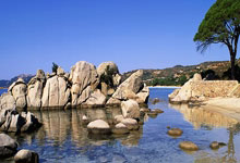 篮球人——曾凡博找回自信.